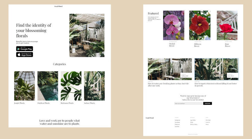 Plant identifying application website concept design